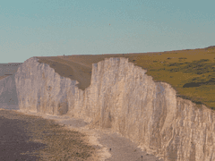 바다 녀석들과 먼지 5화