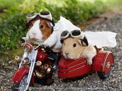 ONF 이션 사주 썰