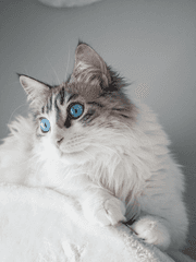 [ 훈원 ] 모음 zip