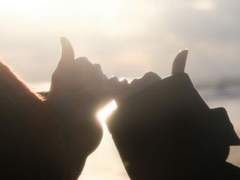 그 뱀의 낭만적 연애사 11