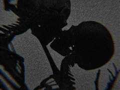 #4 바다, 보고싶어