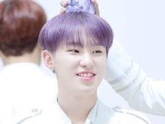 호우 | 브룬펠시아