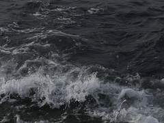 君以外に誰も私の心を知らないから