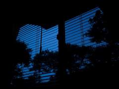 니콜라이 고백 멘트