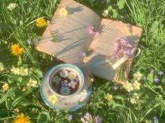 영원한 여름의 끝자락.