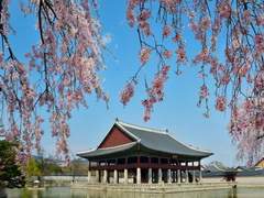 부부열애사 上.