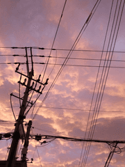 제발 우리 집에서 나가주시면 안 될까요?