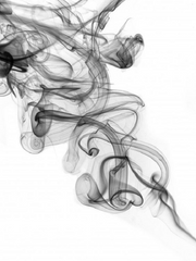 내가 키운 S급들