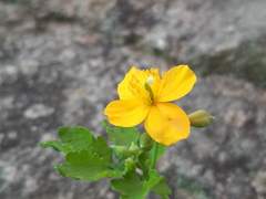 애들 생각한다는 사람이 그런 말을 해?