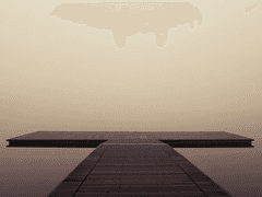 둥지가 낯설어, 나는 매양 헤매곤 했지.