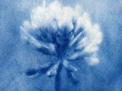 처음부터 다시 시작한다면*