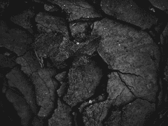 [월터X브루스] feels