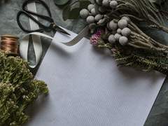 [릭벨져] Star lily.