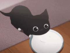 우리 집 바람돌이들 🐱 3