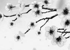 {주술회전 / 고죠 드림} 고죠 가의 도련님은 원조교제를 하는 클래스 메이트가 신경 쓰이는 모양입니다 1