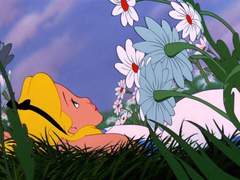 햇볕에 그을린 만남