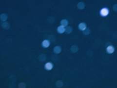 이상한 오소리 메이베리에게.