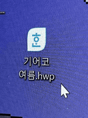 기어코 여름.hwp