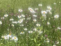 #2 너에게 닿기를