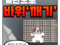 계란으로 바위깨기