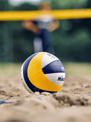 사고뭉치 니넨세들