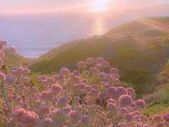 기분 좋은 따뜻함.