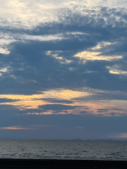 녹음이 드리운 숲