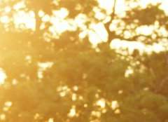 친애하는 나의 친우에게.