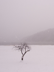 구해줘요 아이쨩!