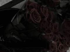 피지 못한 지구