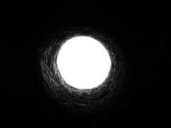 성장했다는 착각, 우물 안 개구리