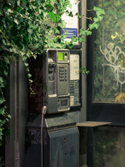 이 번호로 삐삐 쳐 줘