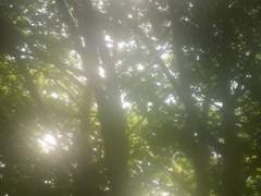 여름의 마지막 발악 上