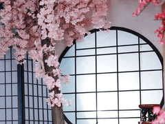 침어낙안 沈魚落雁