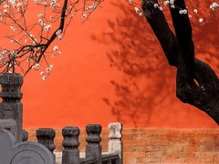 드너른 산하山河 를 일찍이 돌아다보며.