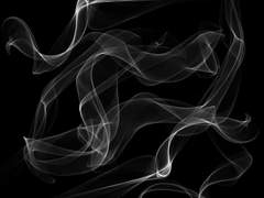 불안한 청춘을 위한 하루