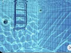 청춘기(靑春期)