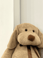 용기가 없는 나를 위해