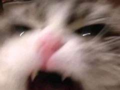 감정조절사(Lv.9999999...)