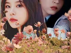 [문휜/휜별] 백매화 06