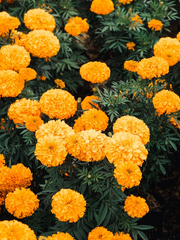 [주술회전] 어바웃