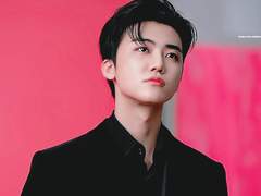 조금의 망한사랑