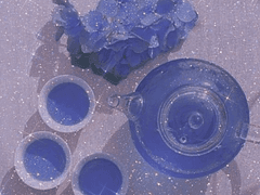 Rebecca S. Ortia Slytherin