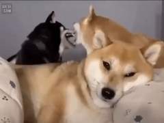 악인 18명의 문단속 14 마이럽, 또 다른 사랑은 괜찮아? (2)