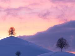 한국인류존속연구원 [천영서]