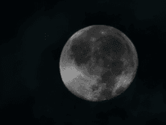 - 조화로운 탐욕에 눈을 뜬 격양된 프루너스의 속마음 중에서.