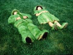 식물의 비폭력성