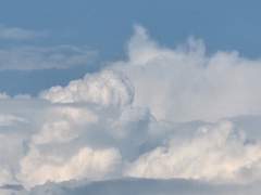 방학이 오기 전에