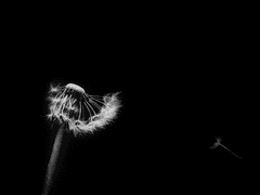 혼자 서있는 나에게 (1)