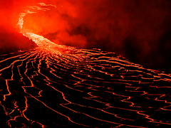 위험을 선택하라.